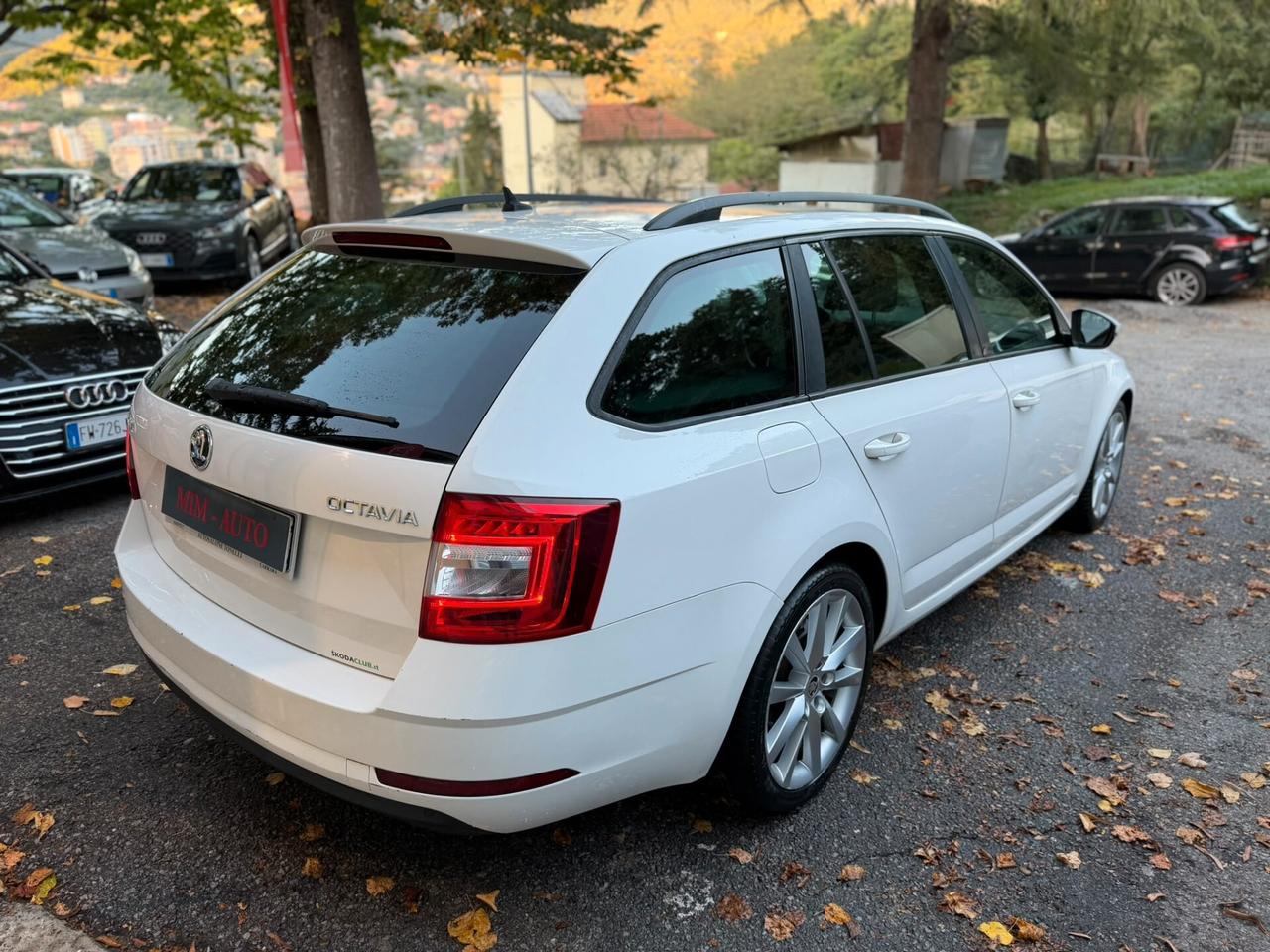 Skoda Octavia 1.6 TDI CR 115 CV Wagon Executive GARANZIA 1 ANNO