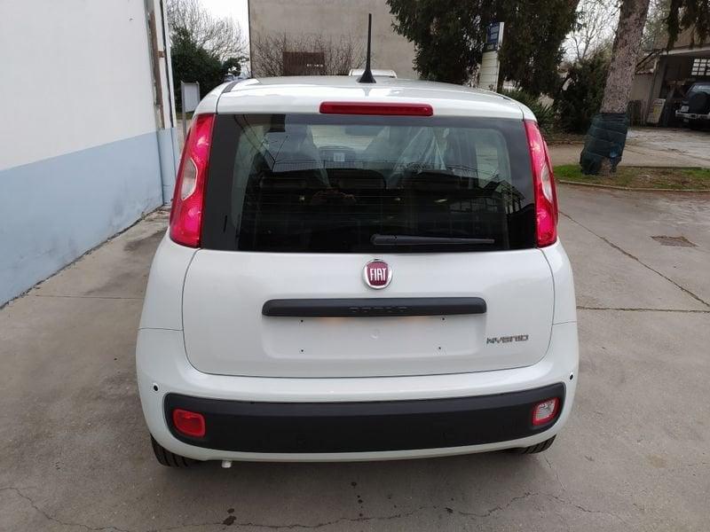 FIAT Panda 1.0 70cv Hybrid Promo CBC 5