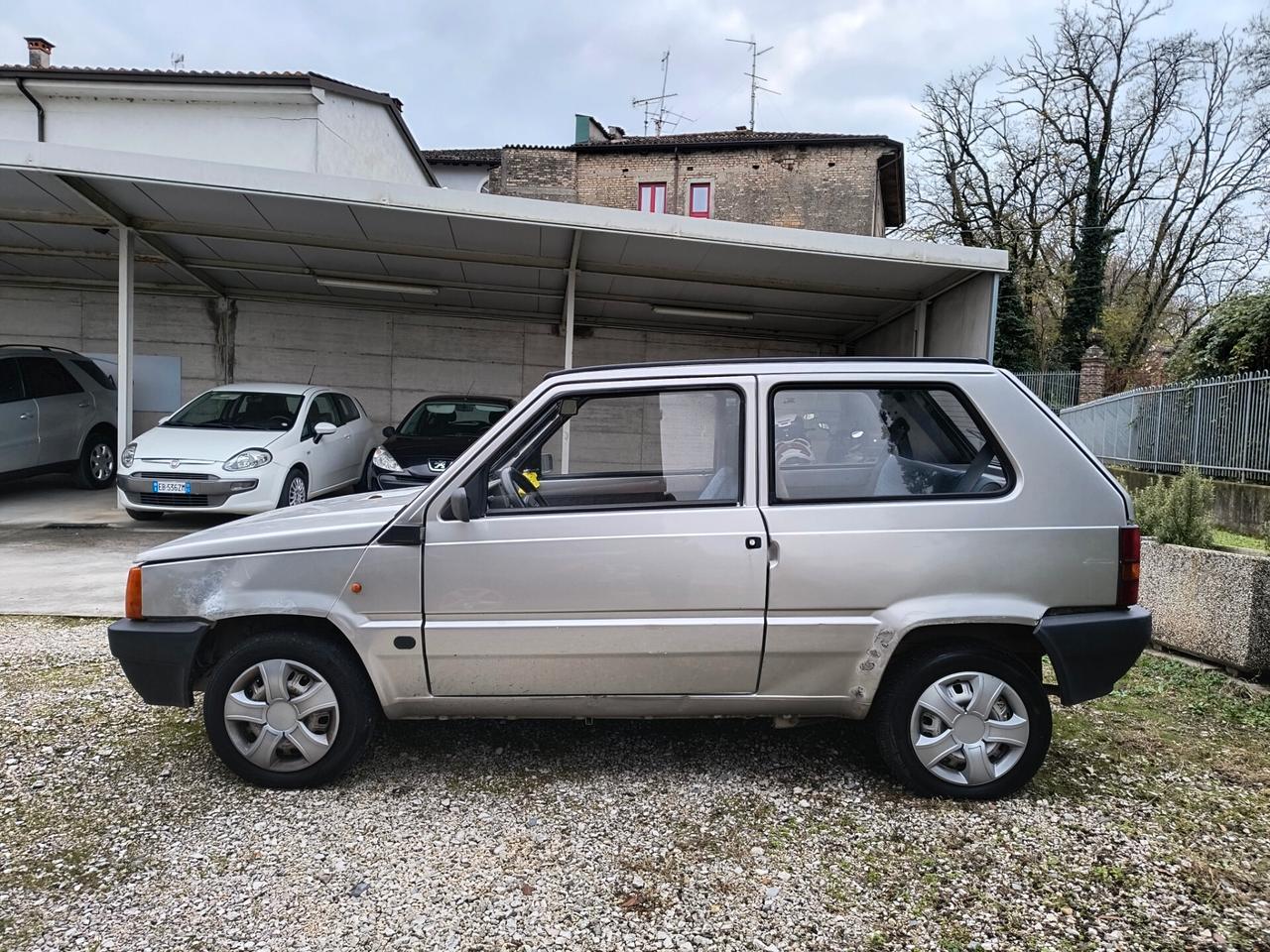 Fiat Panda 1100 i.e. cat Young