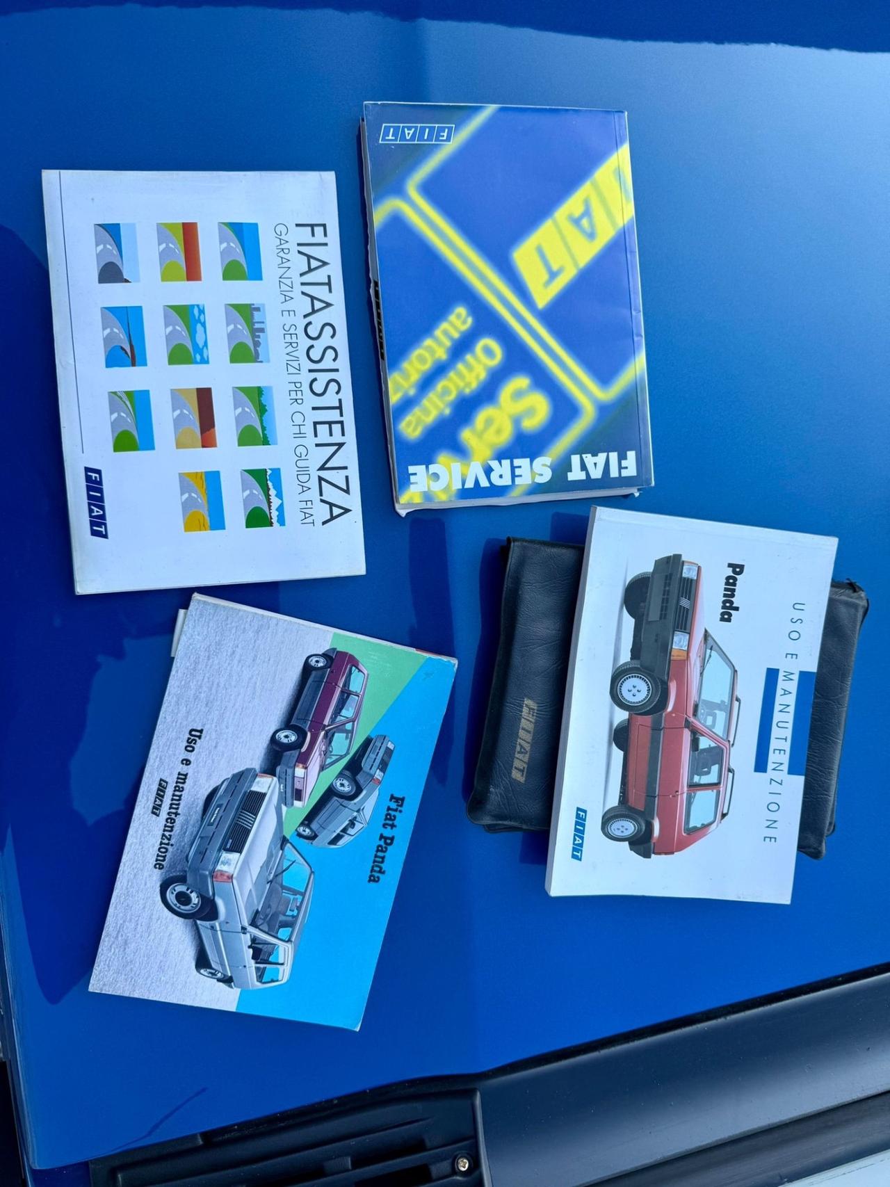 Fiat Panda 4X4 GANCIO TRAINO