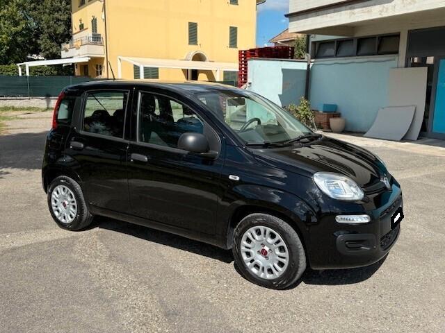 Fiat Panda 1.2 Easy 5 posti iva esposta