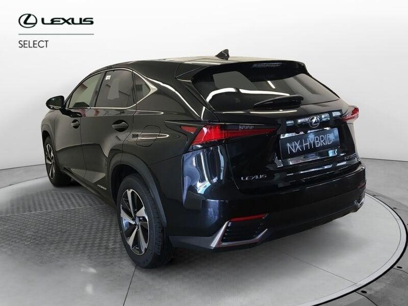 Lexus NX NX Hybrid 4WD Luxury