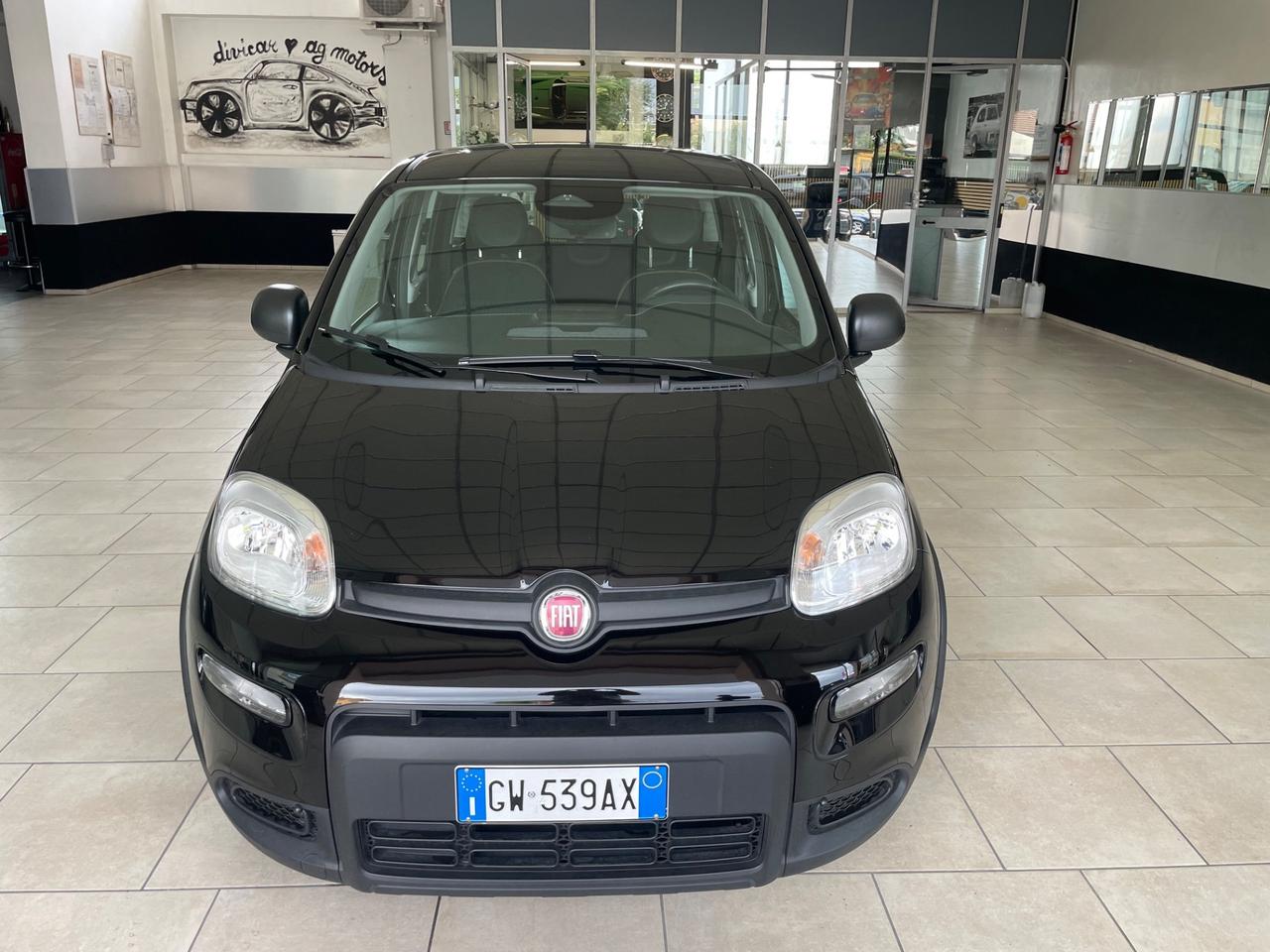 Fiat Panda 1.0 FireFly S&S Hybrid Pandina - Nessun vincolo -