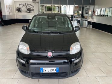 Fiat Panda 1.0 FireFly S&S Hybrid Pandina - Nessun vincolo -