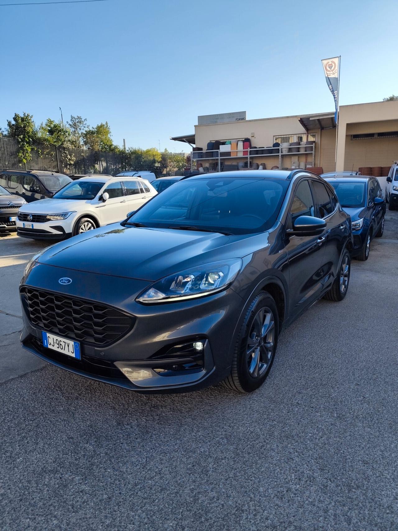Ford Kuga 2.0 EcoBlue Hybrid 150 CV 2WD ST-Line