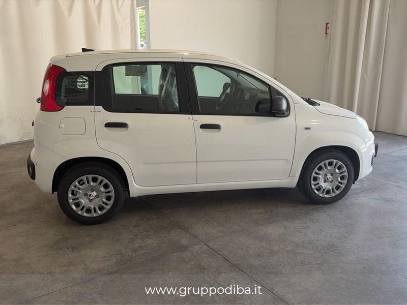 FIAT Pandina 1PA My26 1.0 65cv Hybrid Icon