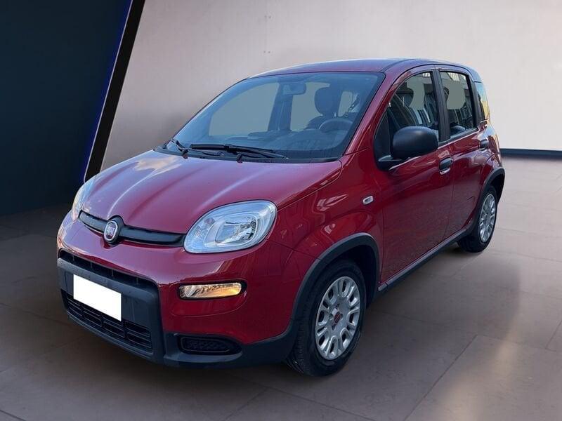 FIAT Panda My24 1.0 70cv Hybrid Panda