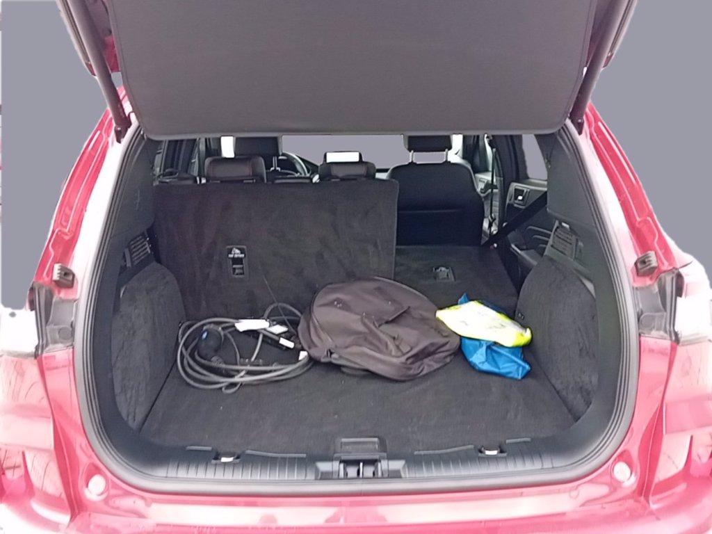 FORD Kuga phev ST-Line X 2wd Automatica del 2023