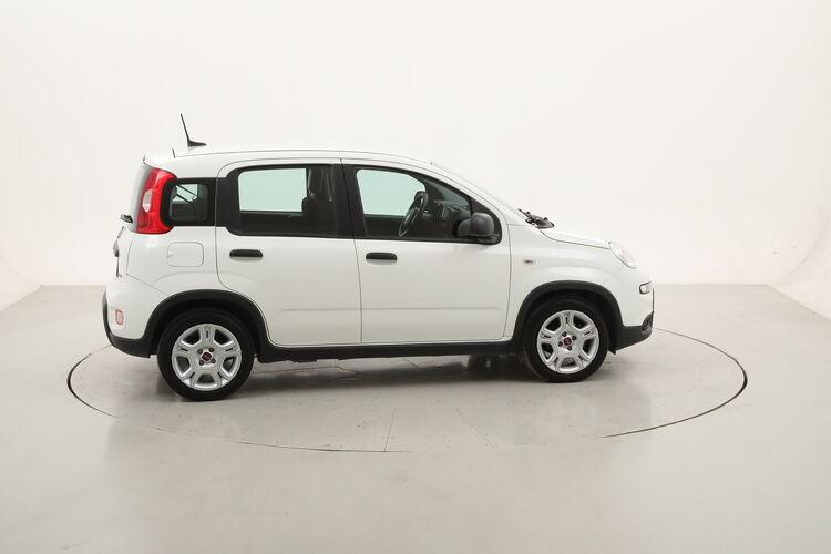 Fiat Panda Hybrid BR259320 1.0 Mild Hybrid 70CV