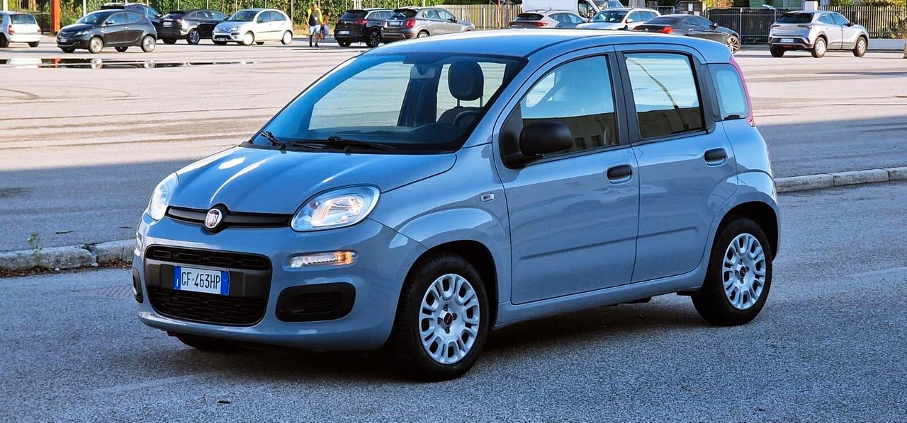 Fiat PANDA 1.0 FireFly 70cv S&S Hybrid