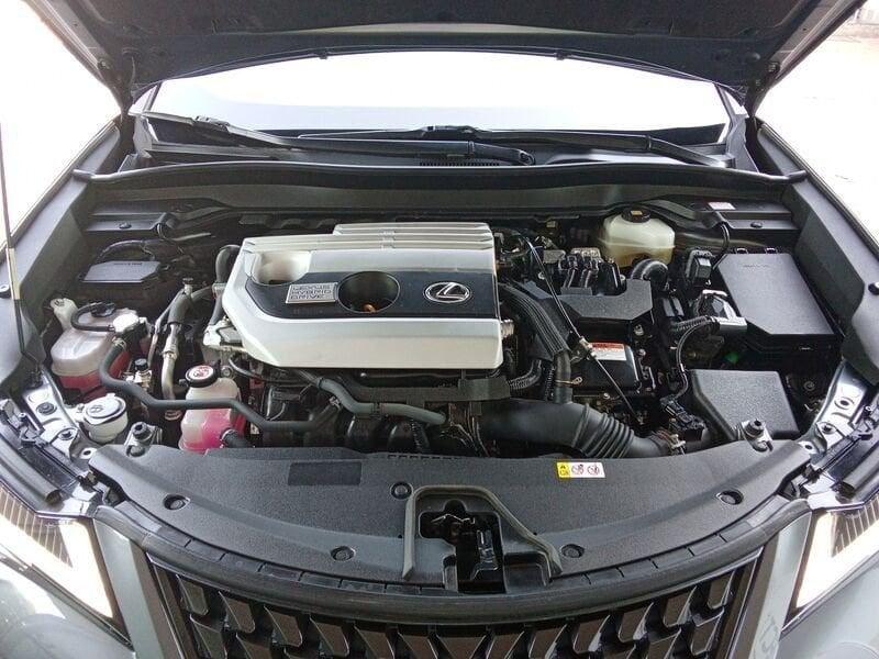 Lexus UX 250 Hybrid Premium 2WD