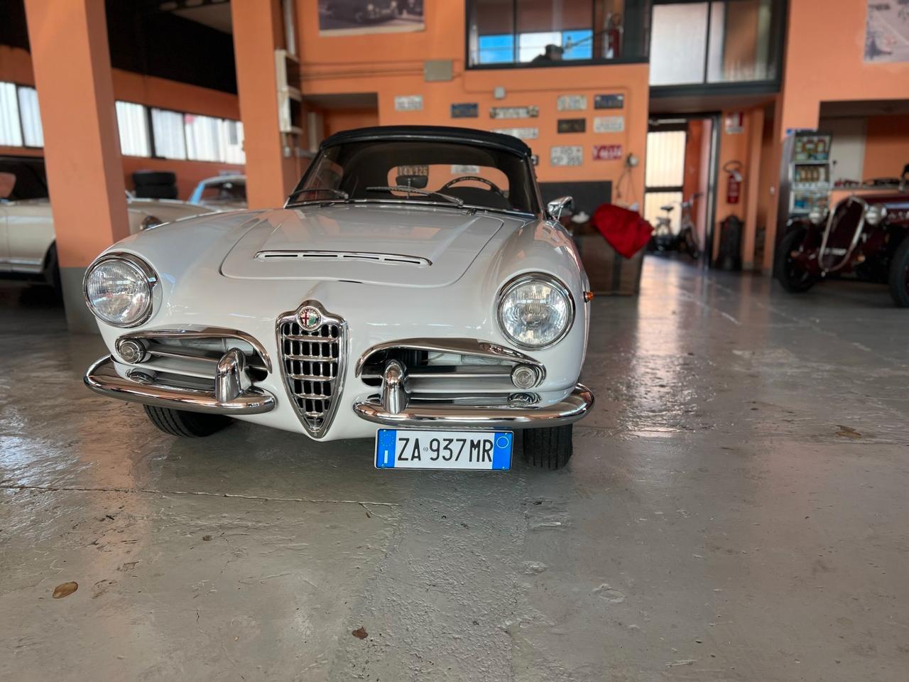 Alfa Romeo Giulia spider 1964