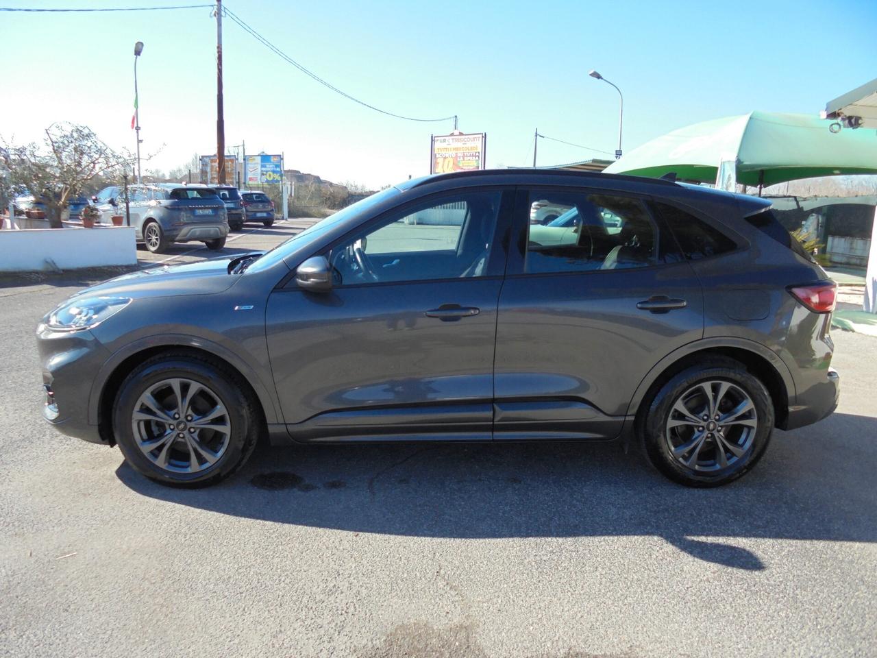 Ford Kuga 1.5 EcoBlue 120 CV 2WD ST-Line