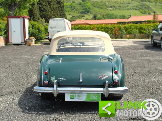 AUSTIN Healey MK II 3000 Cabrio BJ7 / Targata TO