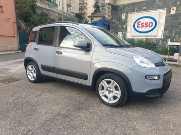 Fiat Panda Cross 1.0 FireFly S&S Hybrid