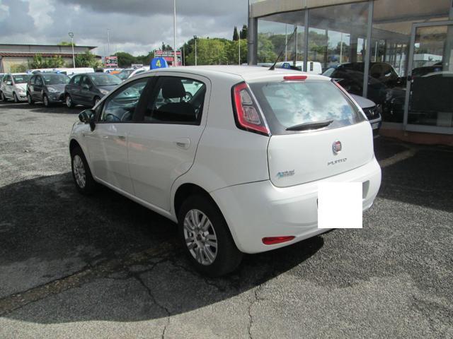 FIAT Punto 1.4 8V 5 porte Natural Power