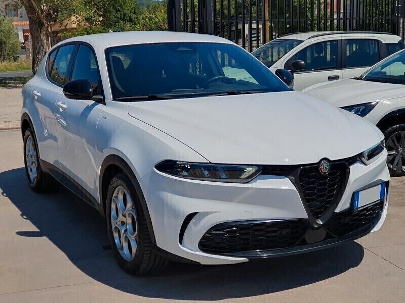 ALFA ROMEO Stelvio 2.2 TD 160CV AT8 XENO NAV TETTO