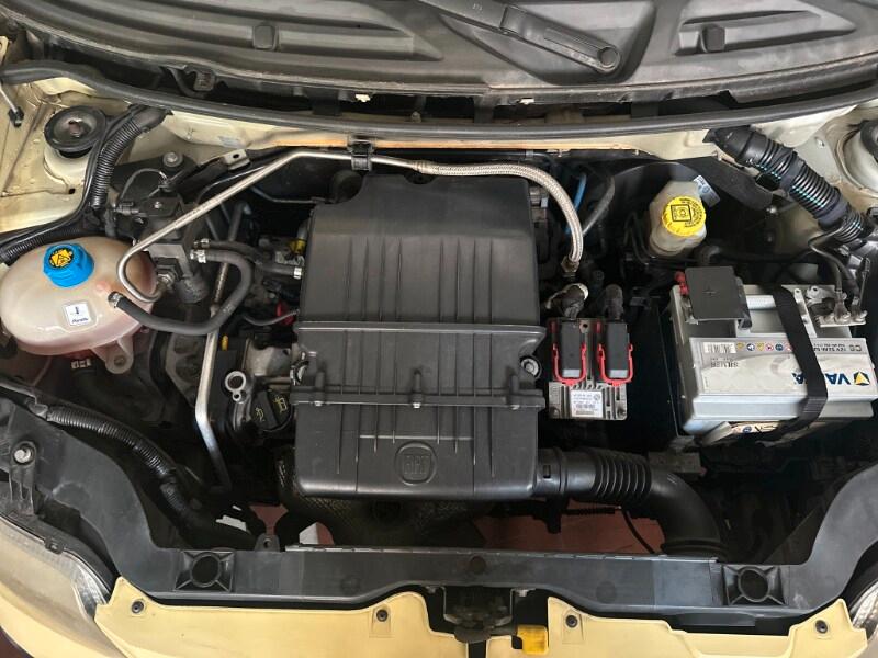 FIAT Panda 2ª serie Panda 1.4 Dynamic Natural ...