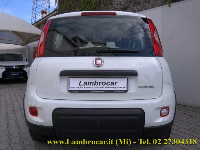 FIAT Panda 1.0 FireFly S&S Hybrid 70cv
