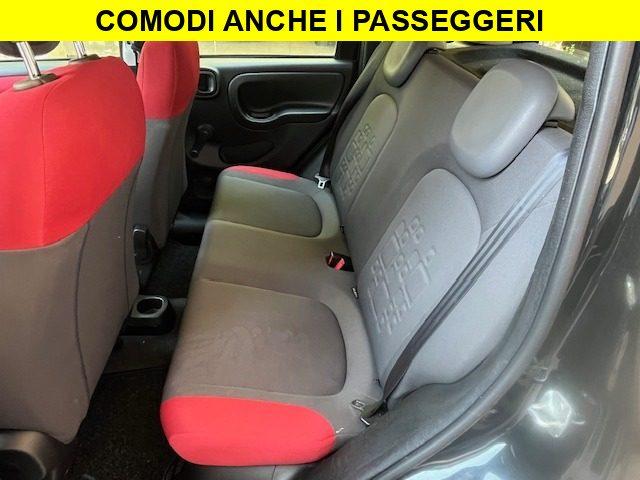 FIAT Panda 1.2 Benzina Neopatentati