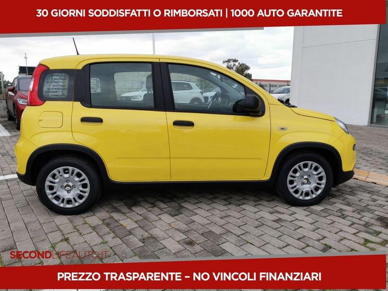 FIAT Panda 1.0 firefly hybrid s&s 70cv