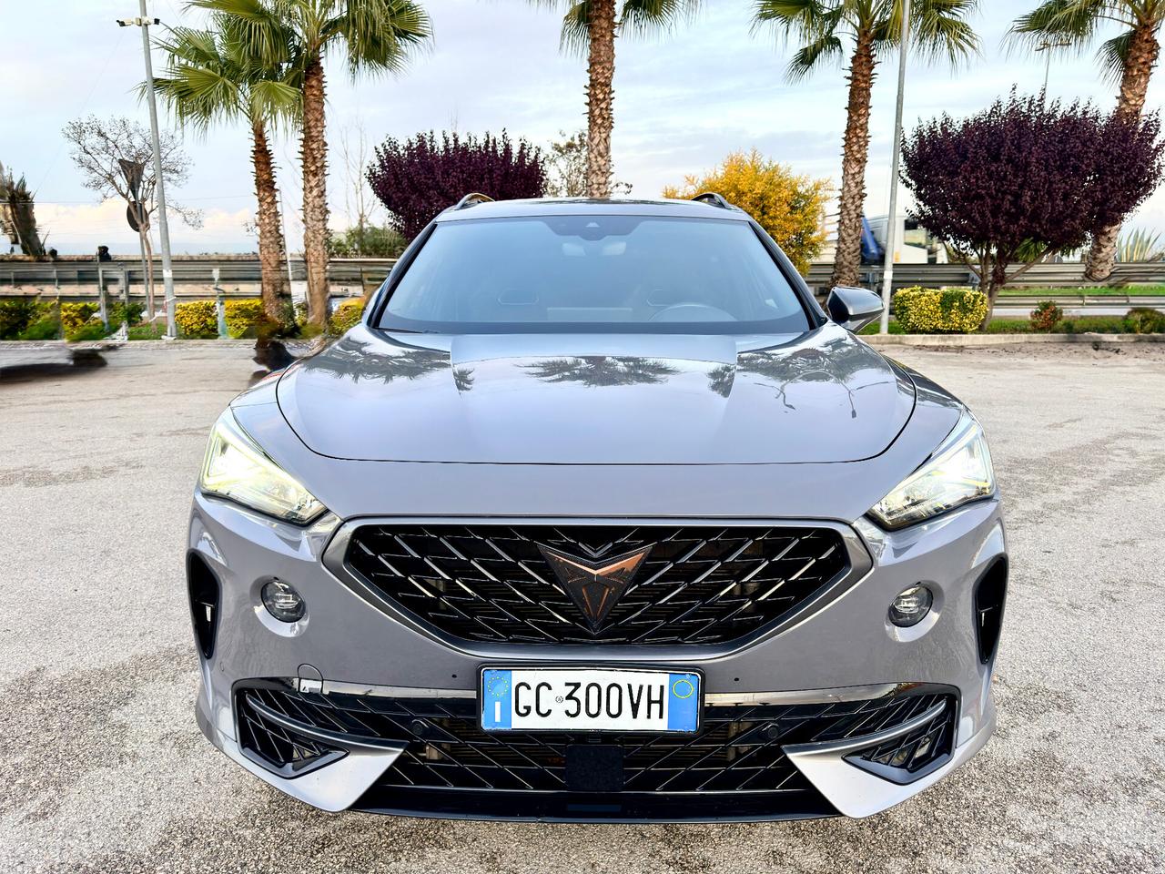 Cupra Formentor 2.0 TSI 310cv 4Drive DSG VZ Launch Edition