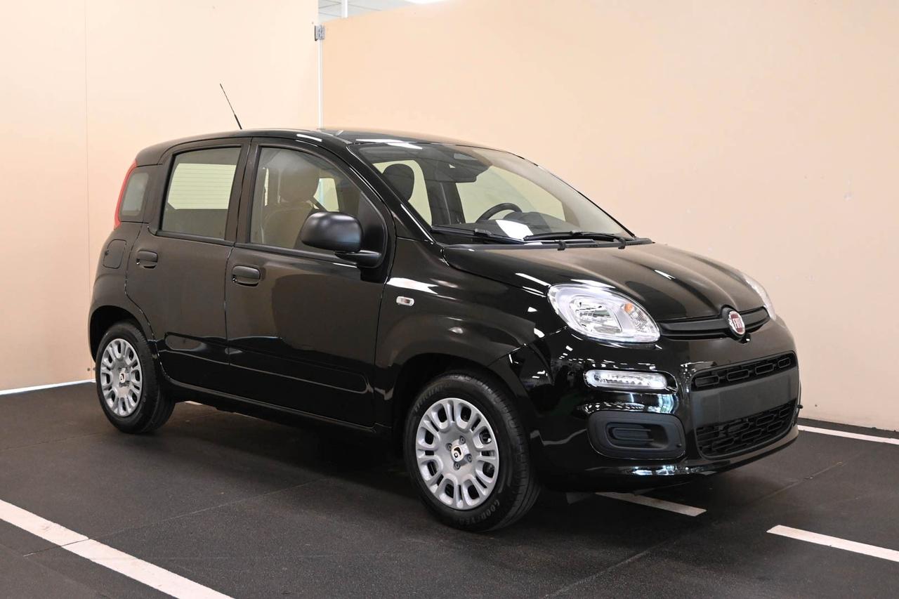 FIAT Panda 3ª serie Panda 1.0 FireFly S&S Hybrid