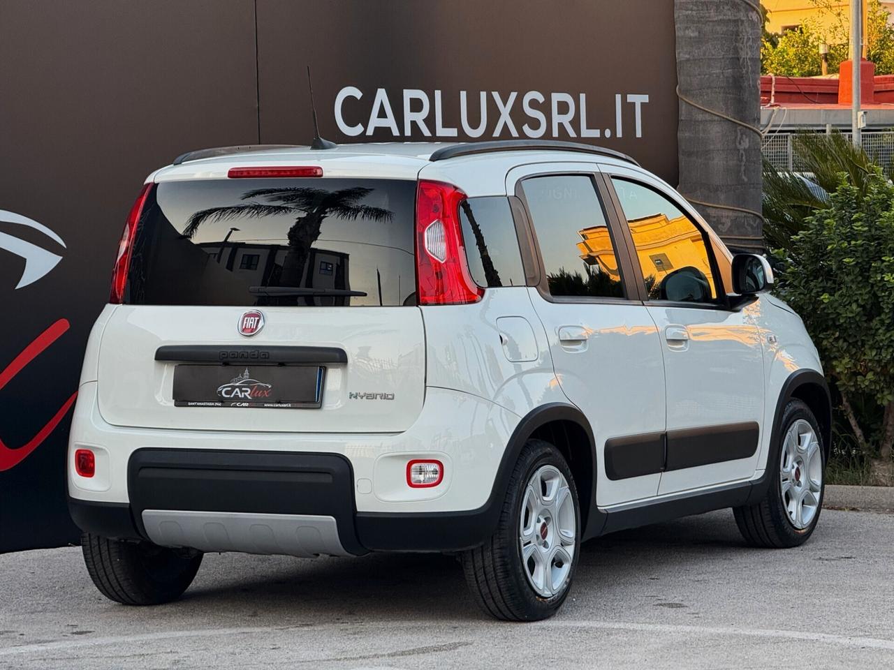 Fiat Panda 1.0 Firefly Hybrid S 69CV S&S | IVA ESP