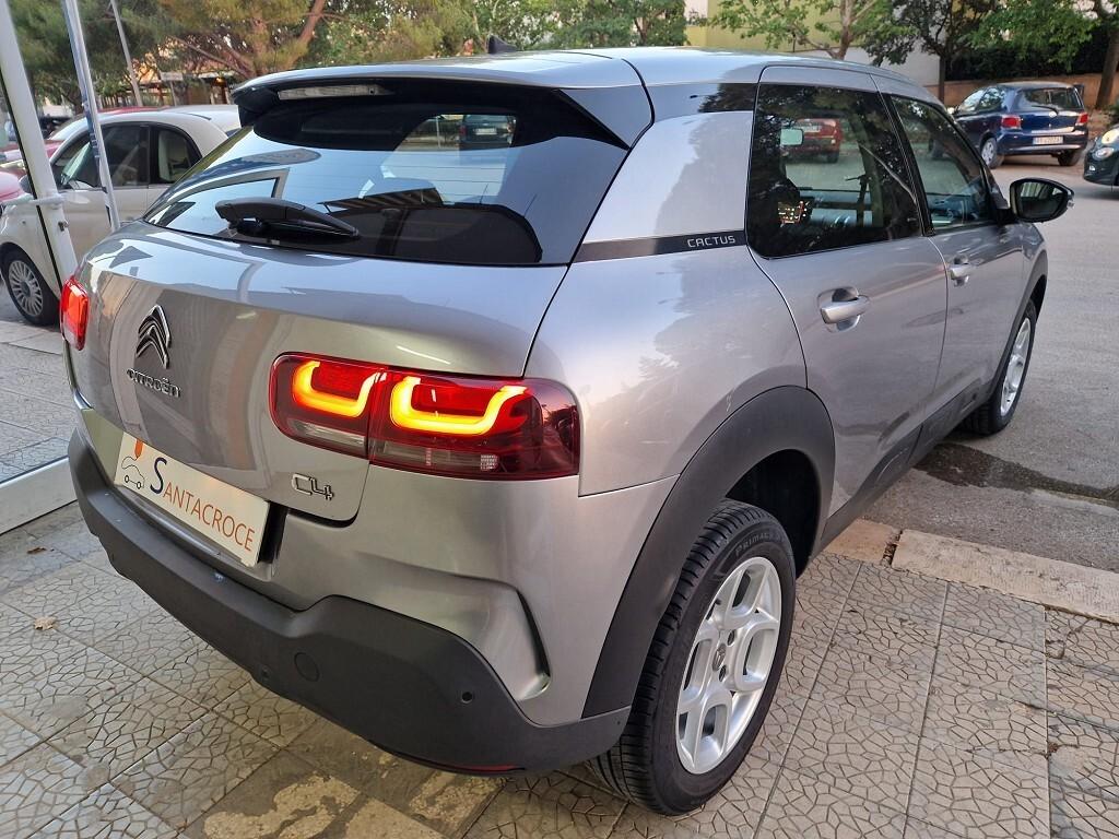 Citroen C4 Cactus 1.5 BlueHDi 100 cv. 2019 TOP