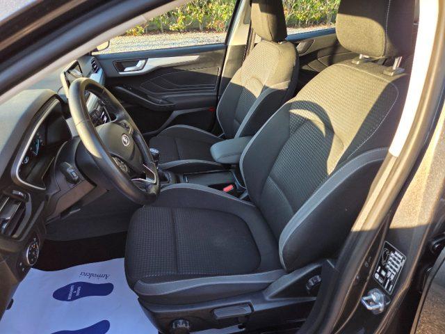 FORD Focus 1.5 EcoBlue 120 CV 5p. Business