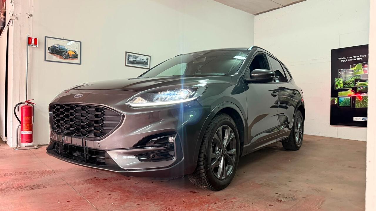 Ford Kuga 1.5 EcoBlue 120 CV 2WD ST-Line garanzia ford 7anni