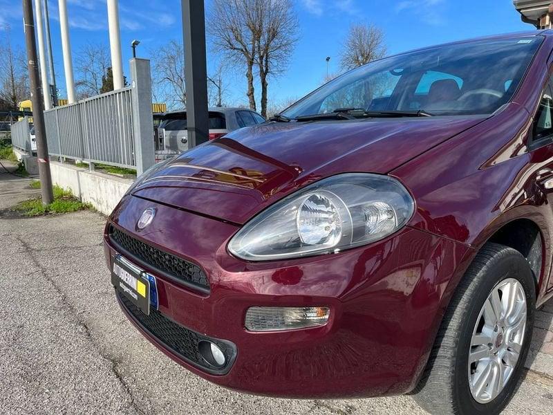 FIAT Punto Punto 1.4 8V 5 porte Natural Power Easy