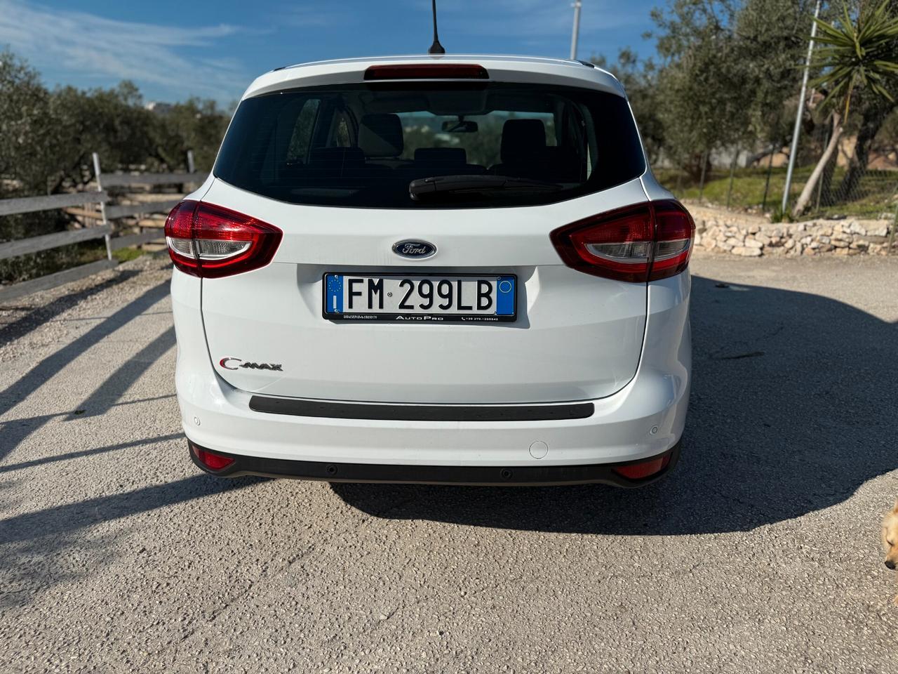 Ford C-Max 1.5 TDCi 105CV Start&Stop ECOnetic Business