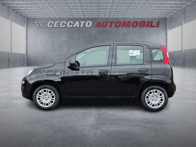 FIAT Panda Panda 1.0 firefly hybrid s&s 70cv