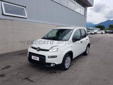 FIAT Panda Van My23 1.0 Hybrid S&S 70cv E6.4 - 2 Posti