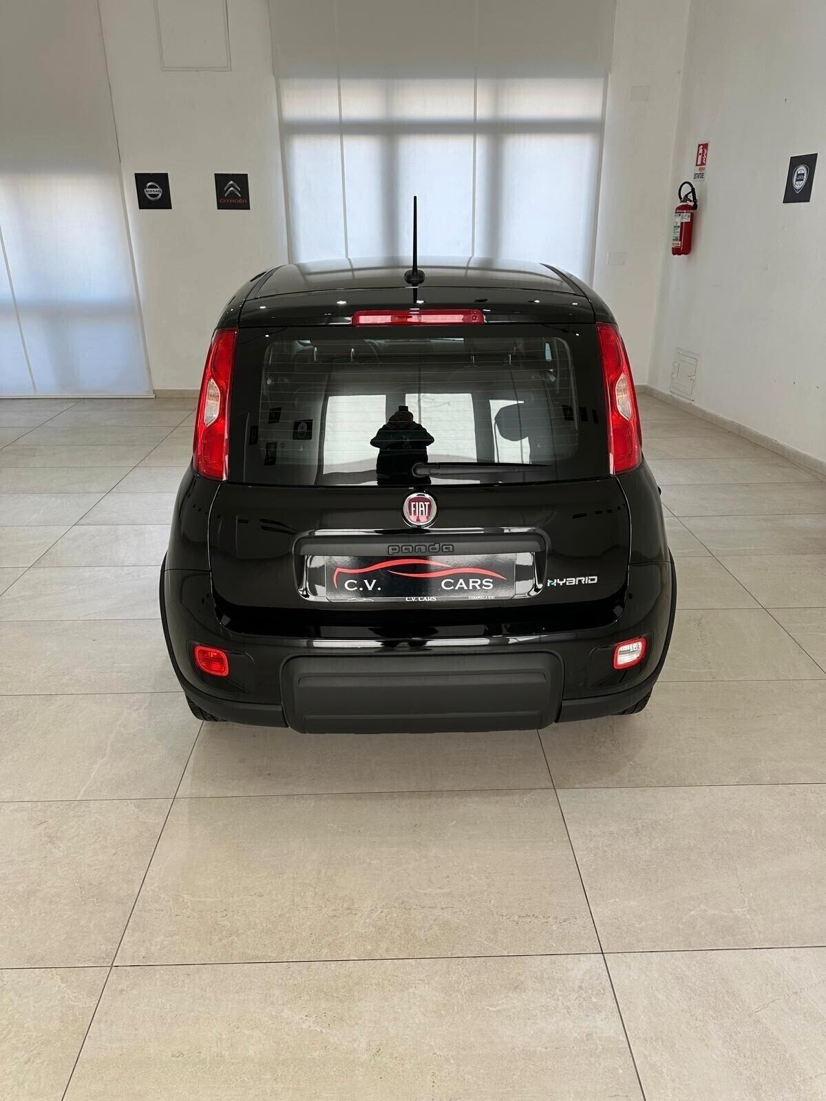 FIAT PANDA 1.0 FIREFLY S&S HYBRID GPL