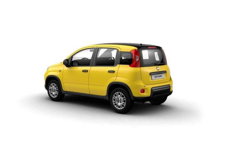 FIAT Panda III 2024 1.0 firefly hybrid s&s 70cv
