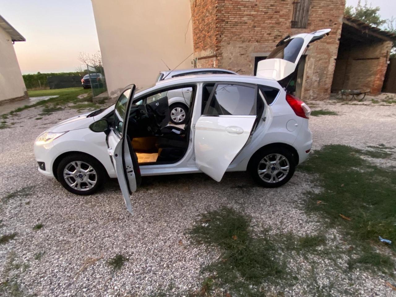Ford Fiesta 1.4 5 porte Bz.- GPL Black & White Edition
