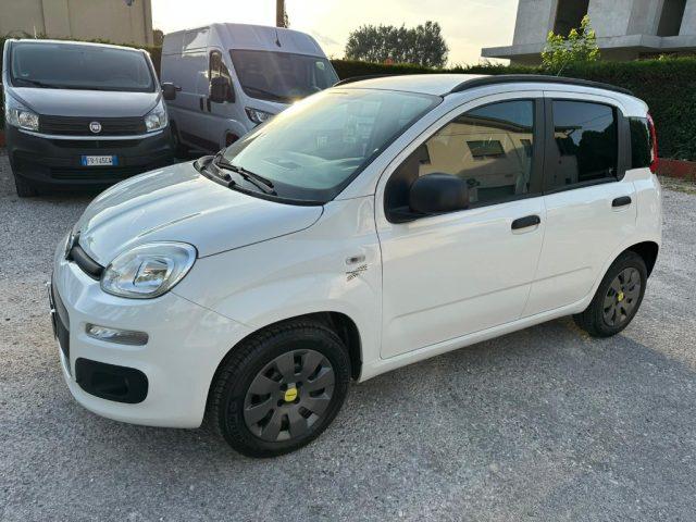 FIAT Panda OK NEO PAT. 1.2 Easy