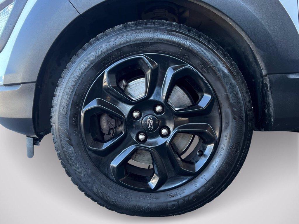 FORD EcoSport 1.0 EcoBoost 125 CV Start&Stop Active del 2022