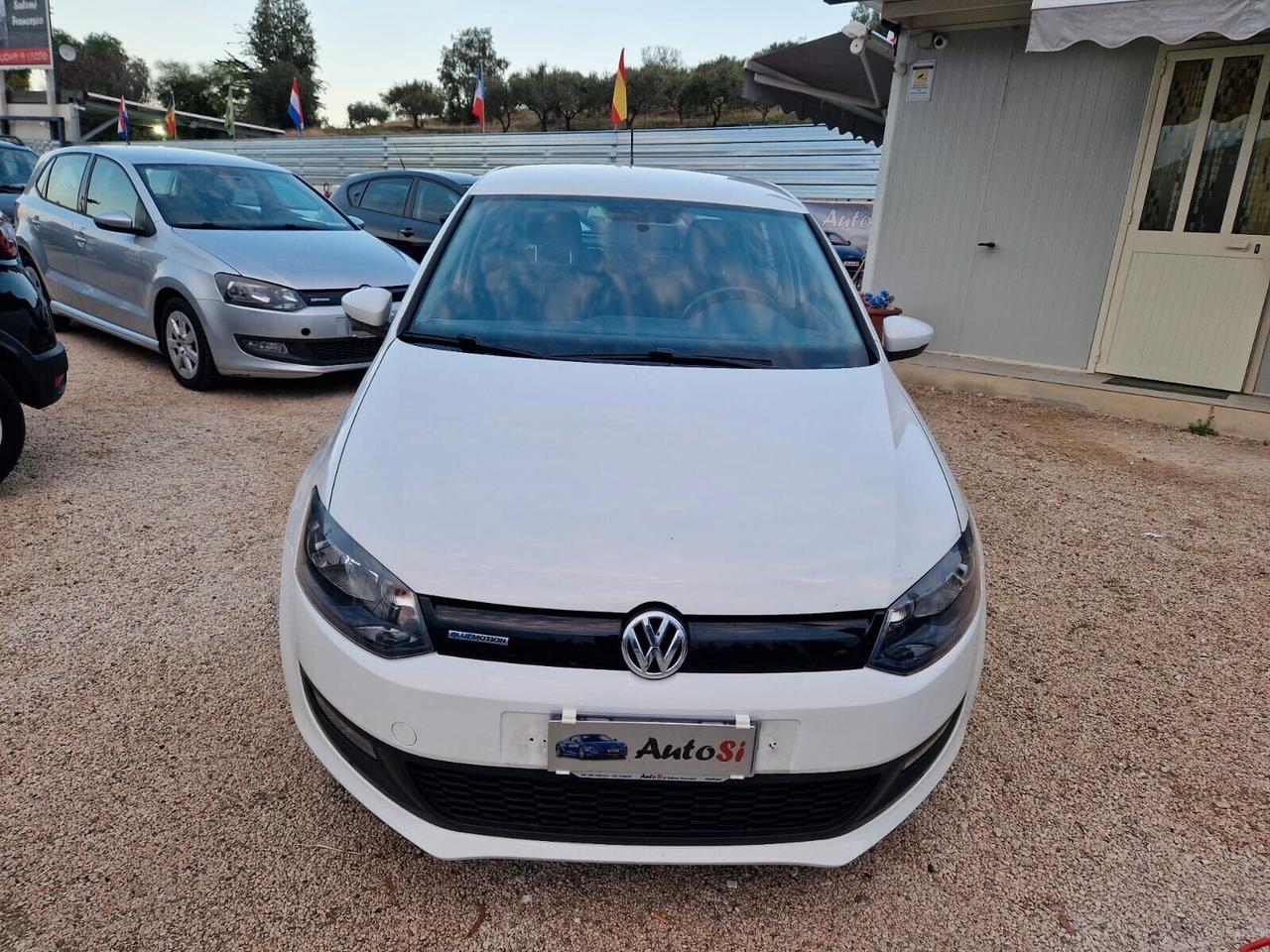 Volkswagen Polo 1.2 TDI DPF 5 p. BlueMotion 75 CV