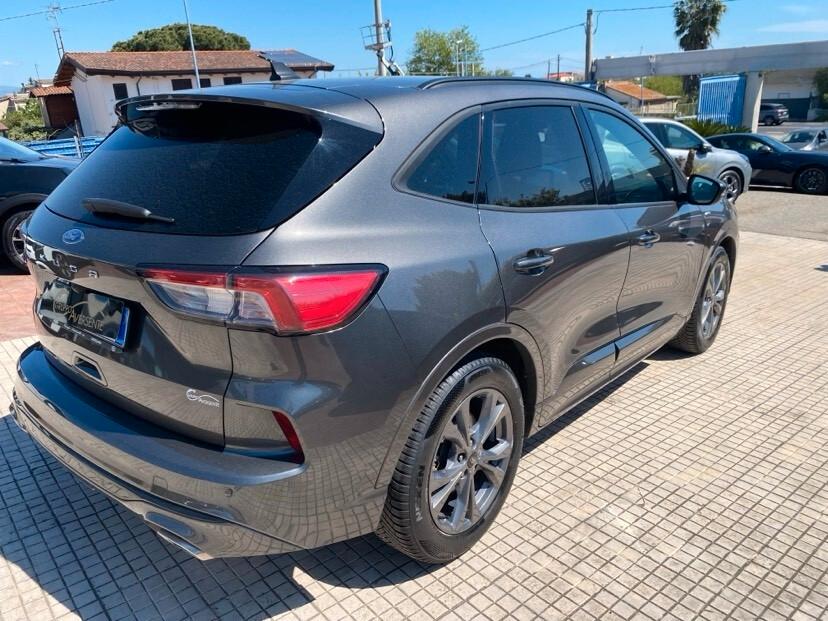 Ford Kuga 1.5 EcoBlue 120 CV aut. 2WD ST-Line X