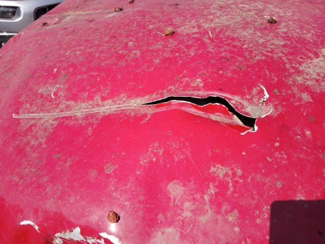 ALFA ROMEO Tonale 1.6 diesel 130 CV TCT6 Super