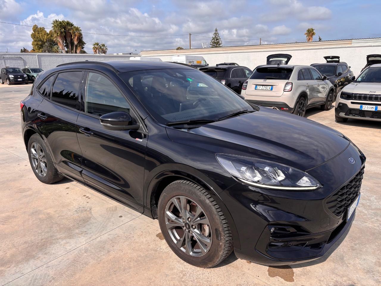 Ford Kuga 2.0 EcoBlue 120 CV aut. 2WD ST-Line