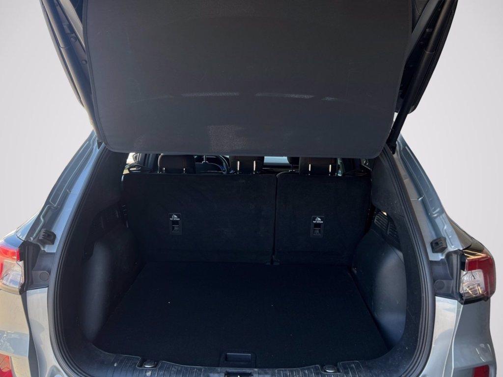 FORD Kuga 1.5 EcoBoost 150 CV 2WD ST-Line del 2023