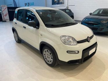 FIAT Panda 1.0 FireFly S&S Hybrid PRONTA CONSEGNA