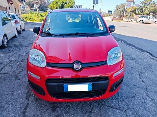 FIAT Panda 1.2 Benzina - 2017