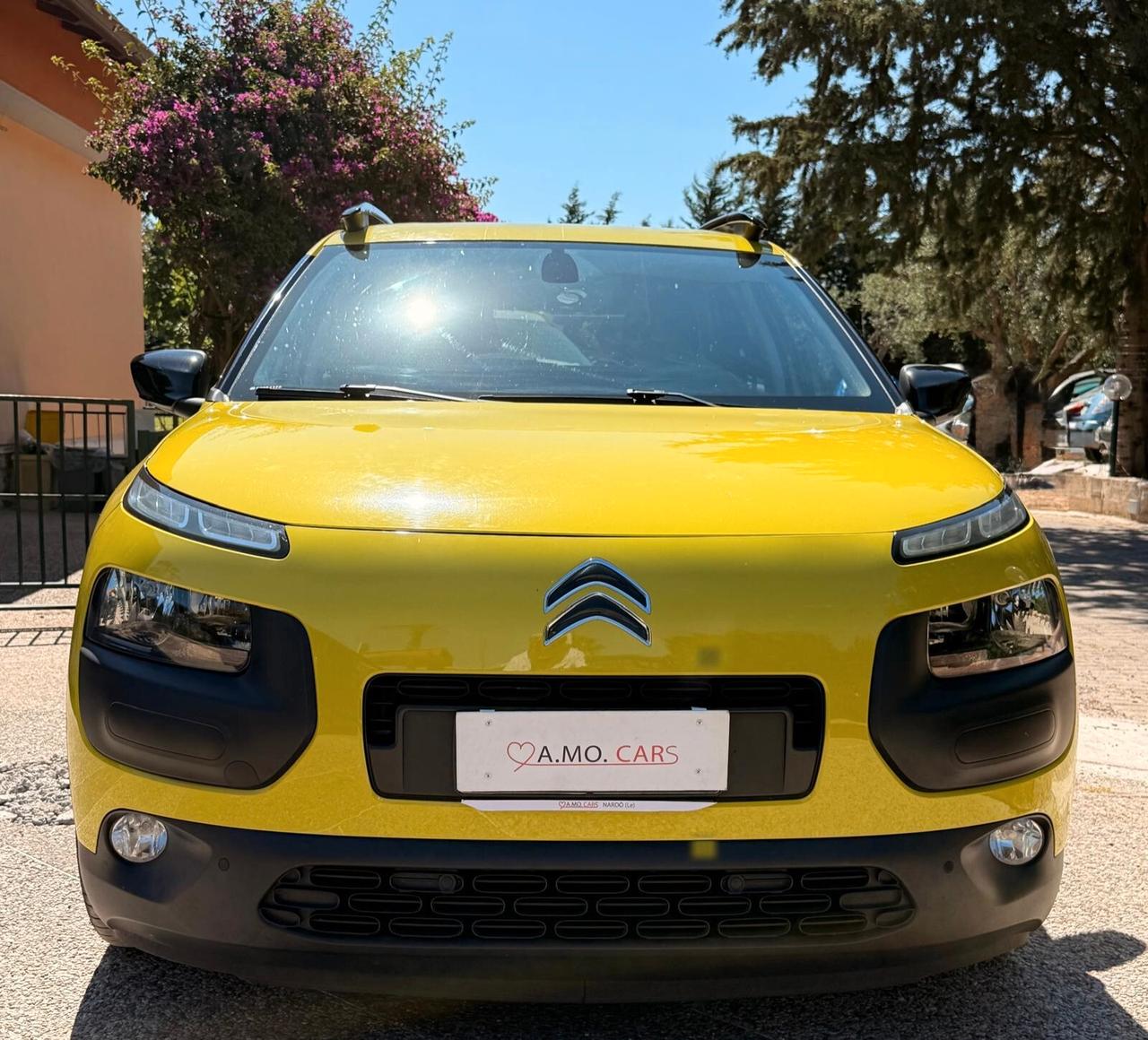 Citroen C4 Cactus BlueHDi 100 Shine COME NUOVA