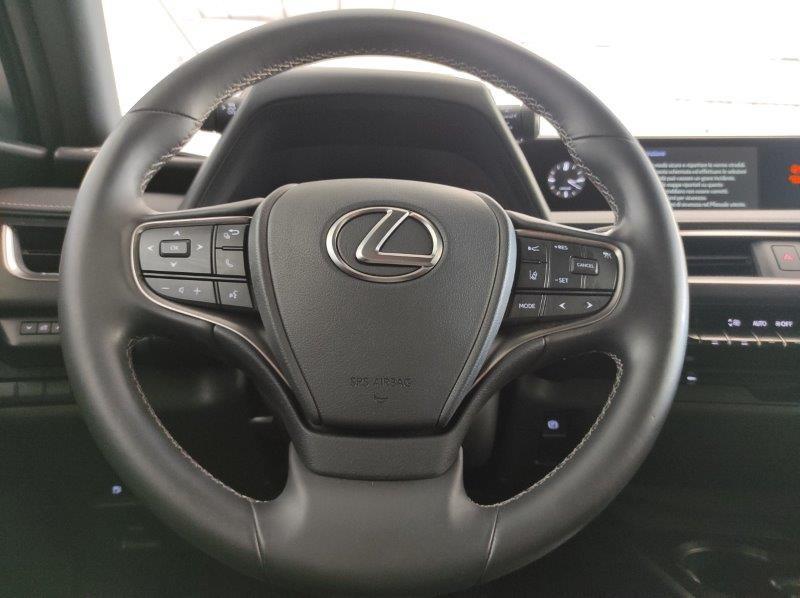 LEXUS UX - UX Hybrid Business