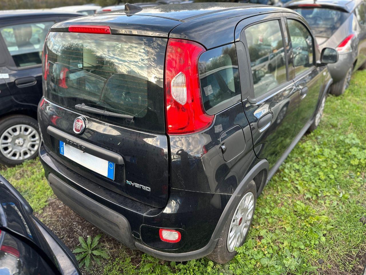 FIAT Panda III 2021 - Panda 1.0 firefly hybrid s&s 70cv 5p.ti